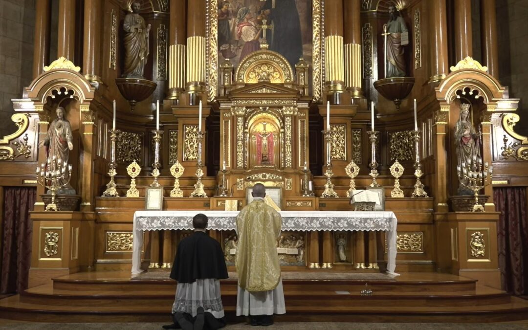 What do the saints teach about the Body and Blood of Christ?