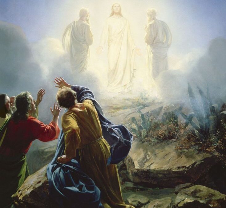 Transfiguration: awakening souls to Grace