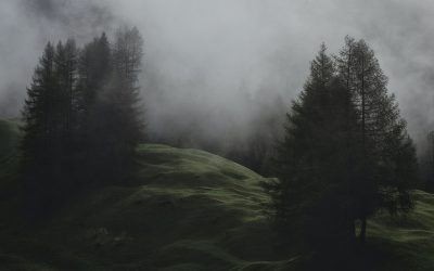 The in-between