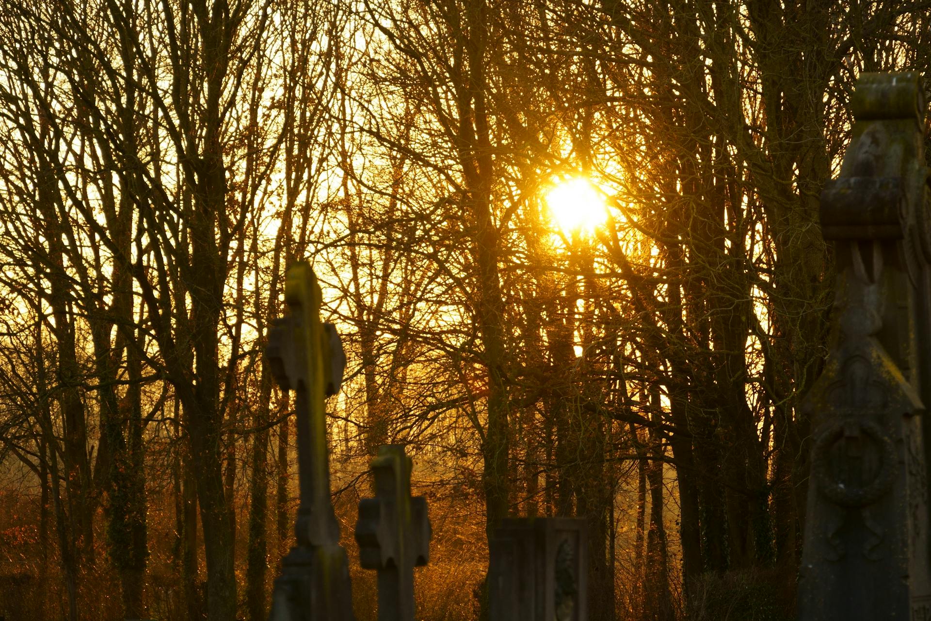 Cemetary sun thru trees by Bizar Van Jan from Pexels