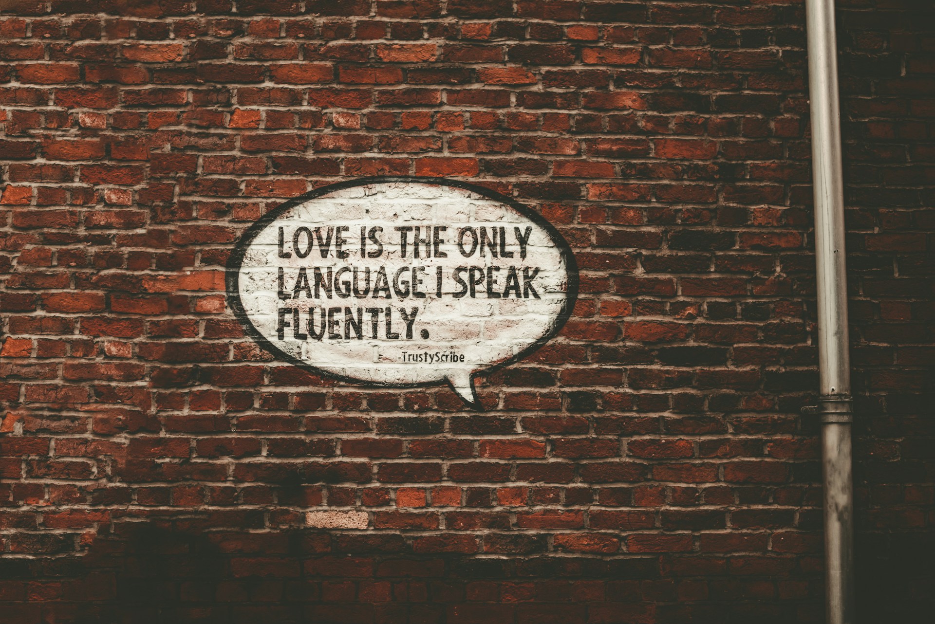 Sign love is the only language I speak fluently by Sam Barber from Unsplash