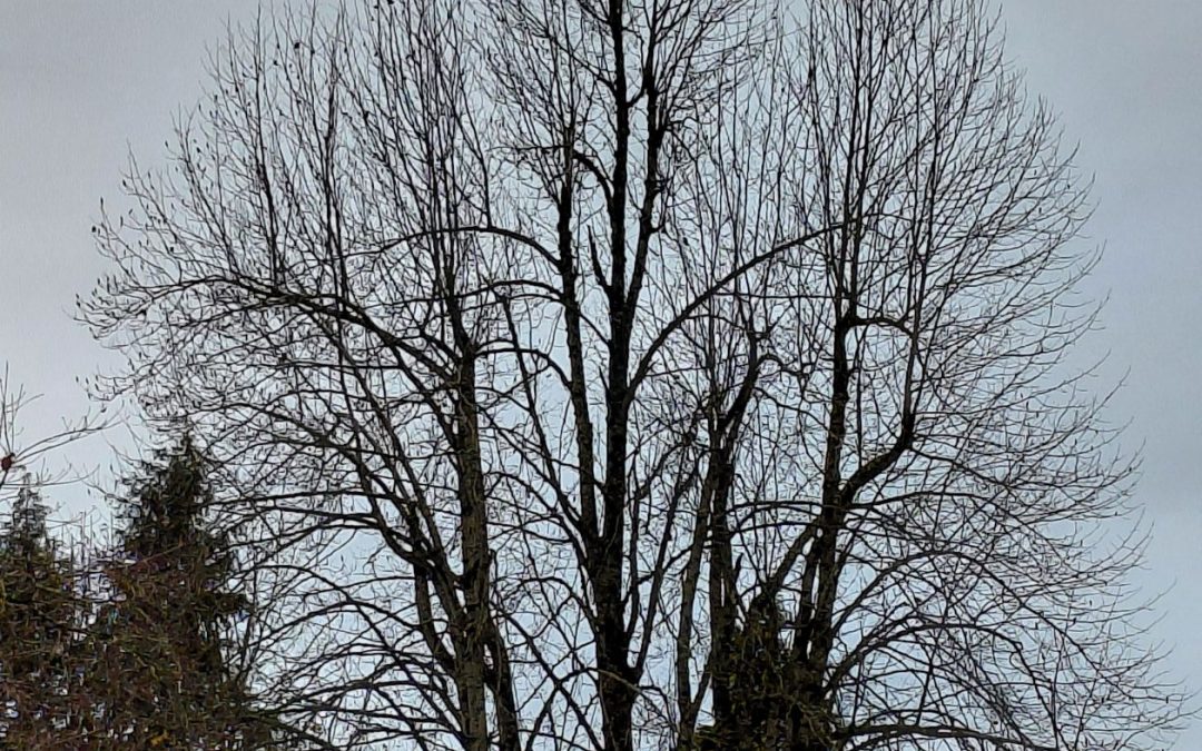 All in its due season