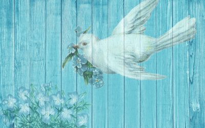 Fast from your cares