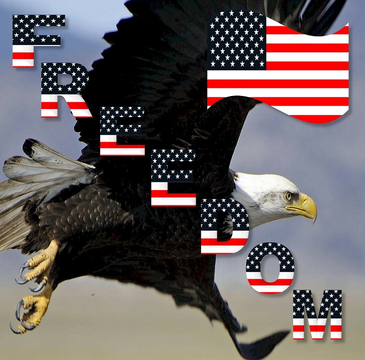 Freedom eagle-Pexels.com